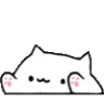 Bongo :bongo: